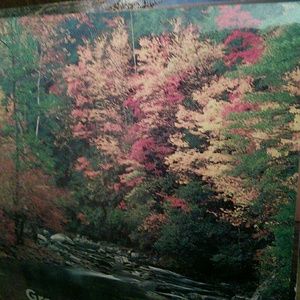 Meet your Posher, Leigh ann